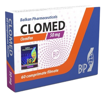 55884-removebg-preview-1